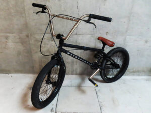 WeThePeople ウィーザピープル TRUST トラスト BMX c-c 490cm c-t 260cm 20インチ ブラック ストリートバイク